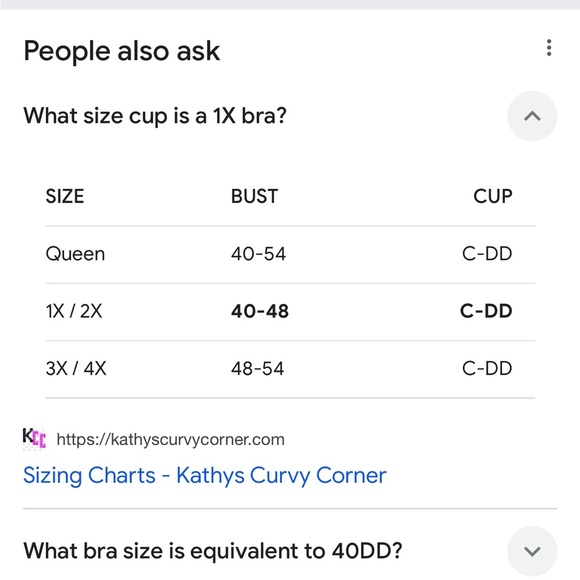 NWT Fredricks of Hollywood women’s fuschia metallic lace bra/ bralette - Picture 10 of 12